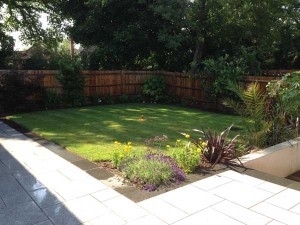 claygate5
