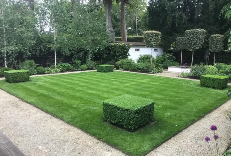 Garden Landscapers Sutton & Wimbledon
