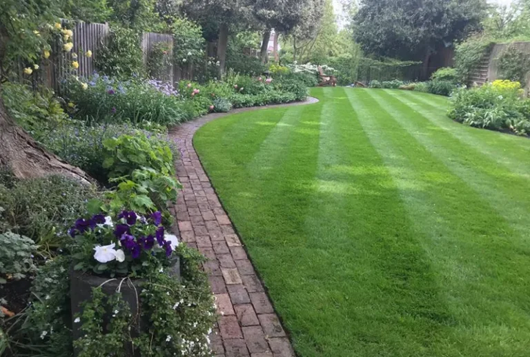 Lawn Care Image